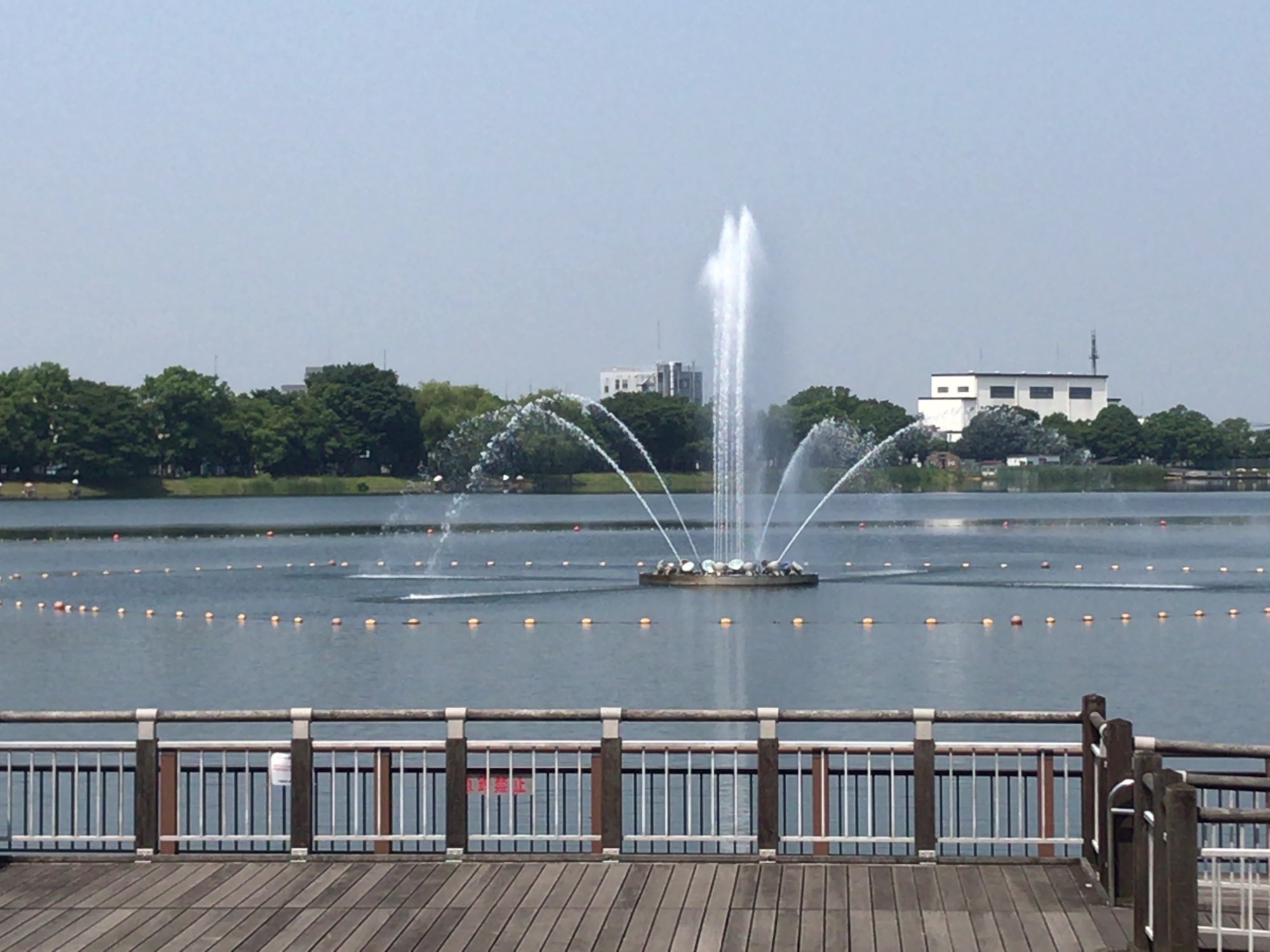 🏞️ 구키 쇼부 공원 이미지 7